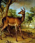 The Watchful Doe by Jean-Baptiste Oudry